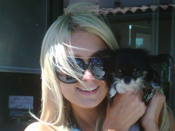 With @StarlaTheChi - She is so tiny and adorable!