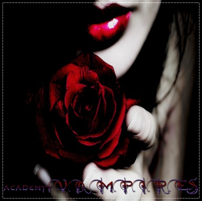 - . ĄƔ - academyyVAMPIIRES . -