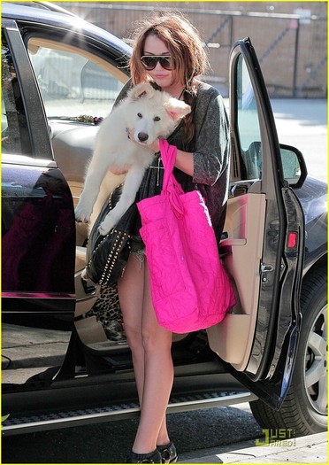 Miley-Mate-out-in-Santa-Monica-miley-cyrus-10540795-867-1222 - Miley Cyrus Out In San Monica