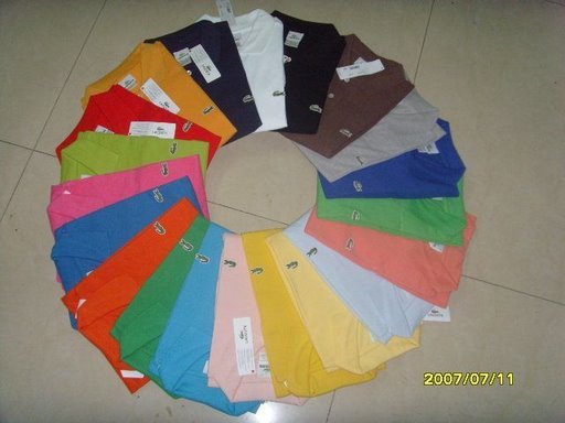 COLORS TO CHOOSE MANICA LUNGA - Lacoste