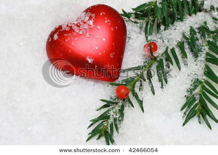 <=> Snow Heart <=>