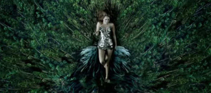 can`t be tamed(2)
