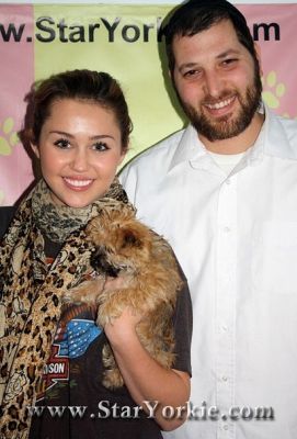 normal_staryorkie - x - This Is Miley - x