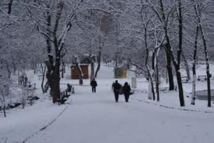 iarna in parcul romanescu:d...:d - My city Criova I live romania