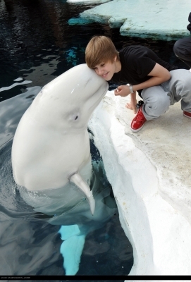 Justin Bieber in Seaworld - Justin Bieber in Seaworld