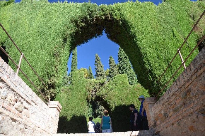 DSC_3581 - Alhambra -Granada