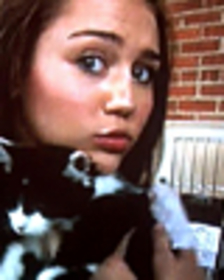 thumb_mileyhq_orgg_(4)~0