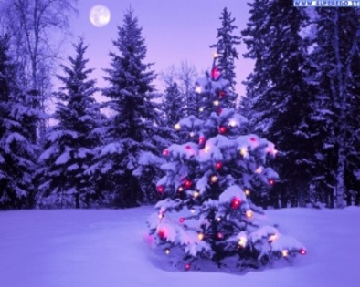 alberi_di_natale_2