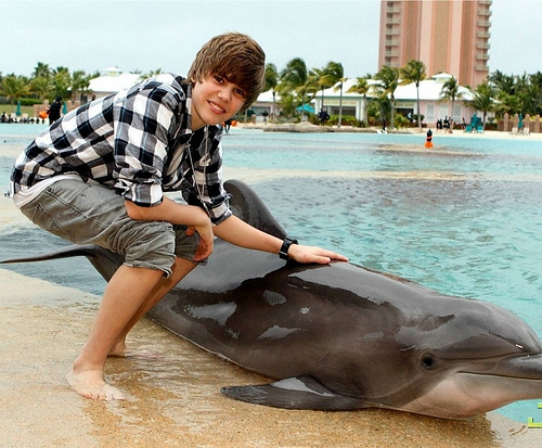 4537333788_b04ce9bf4a - Justin Bieber in water with dolphin