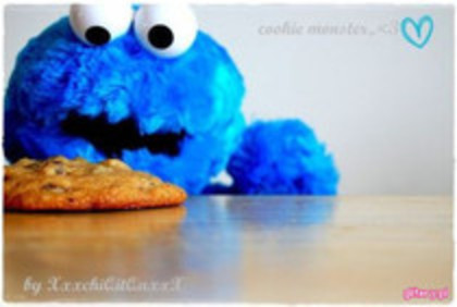 30933329_CIEQCAYBB - Cookie Monster