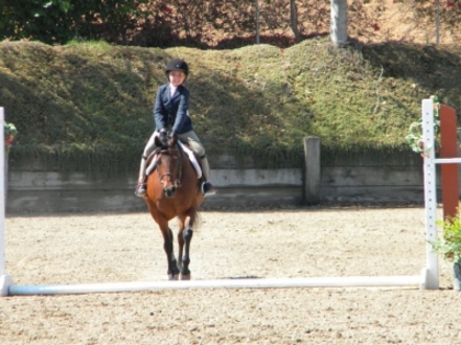 Horse Show102