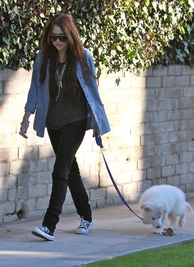 Billy+Ray+Cyrus+Miley+Cyrus+Out+Walking+Their+59Qjk3sGebNl