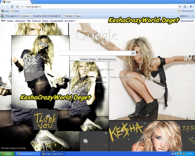 cats - My Kesha Google