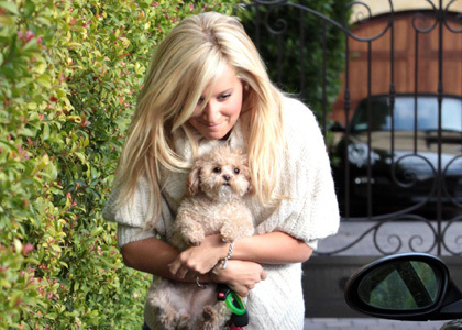 ashley-tisdale-maui-scooper