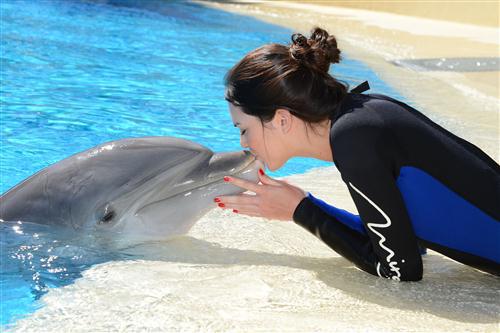 2012 5 15 2012 Dolphin Trainer For A Day 30