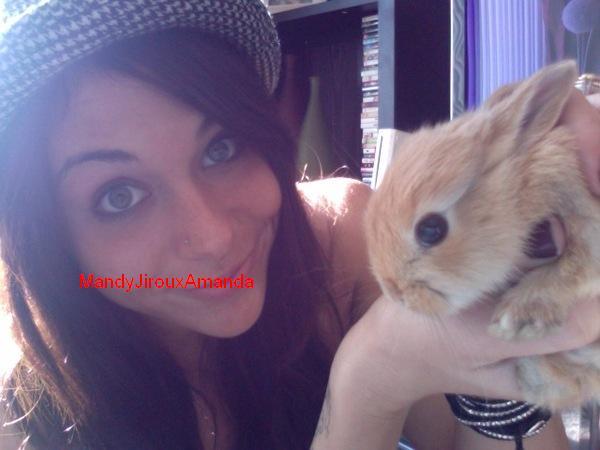my bunny.elvis (8) - my bunny