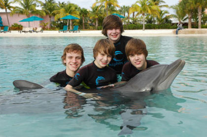 January 3rd - Swimming With Dolphins In The Bahamas