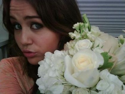 MileyTwitter-Pic-miley-cyrus-7283216-399-299