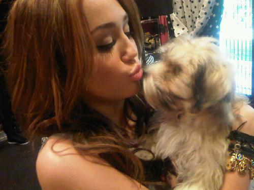Kissing Puppy - From Miley - From Miley Cyrus