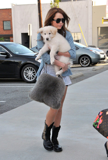 Miley+Cyrus+holds+fluffy+white+puppy+while+VSq8LA0A5Jbl - West Hollywood
