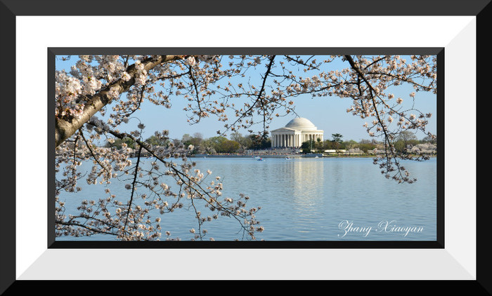 DSC_7613 - I Love Washington DC