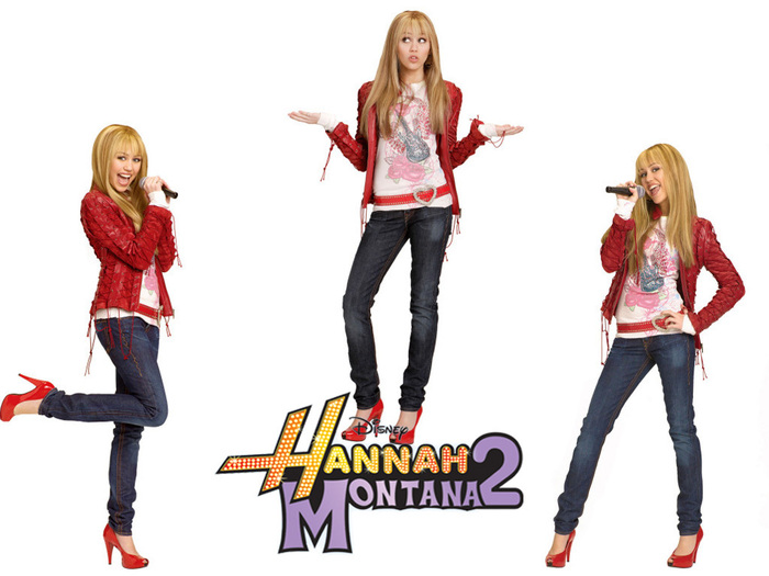 Hanah-montana-Miley-cyrus-the-teen-sensation-hannah-montana-9437873-1024-768 (1)