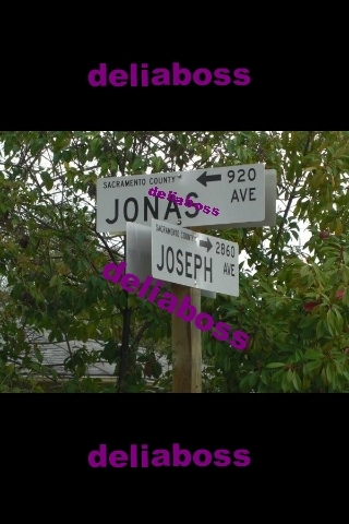  - Look what I found-Jonas Avenue