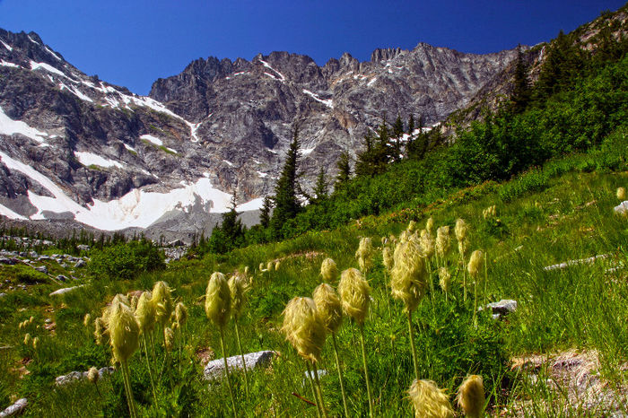 upper-entiat-basin-and-mt-maude-entiat-mountains-glacier-peak-wilderness