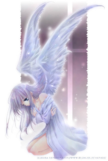angel - 0000 Angels 0000