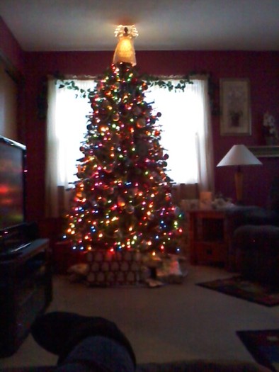 ; Our Christmas Tree

