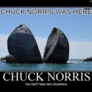 Yesssssss! Chuck Norris = absolute boss
