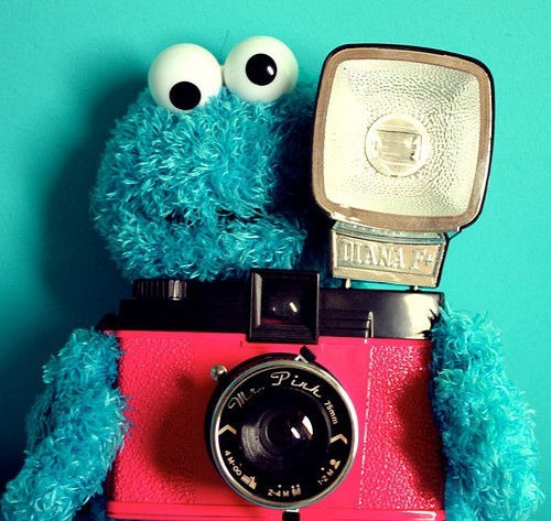 diana,foto,monster,cookie,monster,funny,camera-d7251069df551e1a0e7e22bbcf35899e_h - Cookie Monster