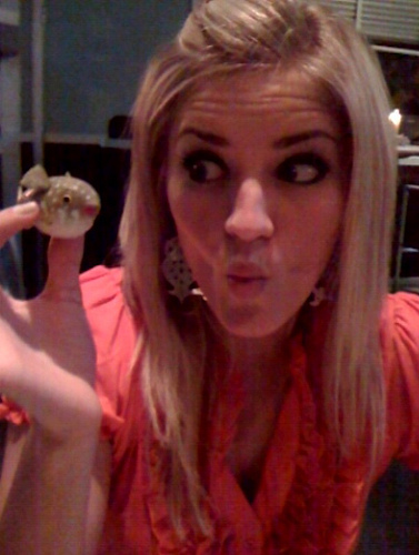 Hanging out with the bit.ly puffer fish -- I kid you not!!