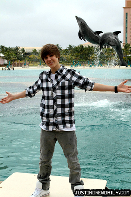 15617663_WUXKXMLUD - Justin Bieber in water with dolphin