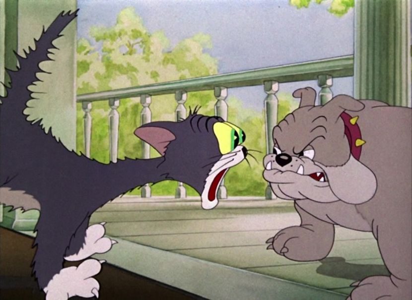 Tom si Jerry