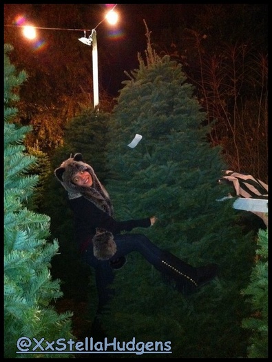 @ I bang tree's (:  xdd  ahaha .