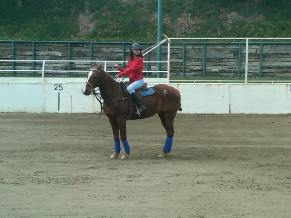 Learning to play polo.