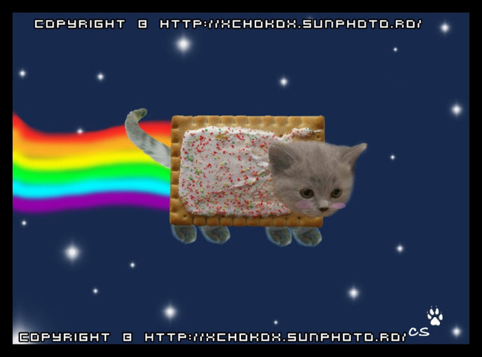 nyan_cat_poptart_cat_by_wolfhowler14-d3dysdo