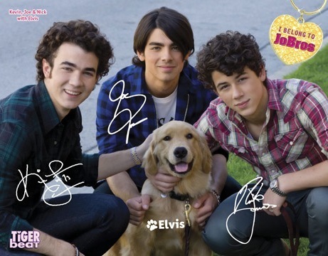 145 - Jonas Brothers