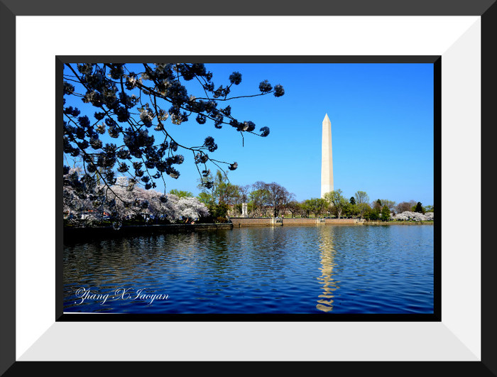 DSC_7583 - I Love Washington DC
