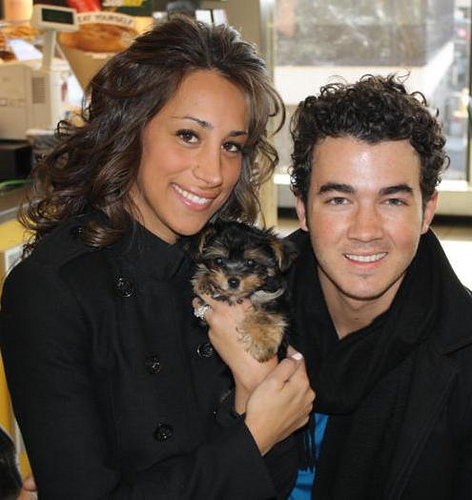 Kev & Dani with their new puppy Riley - kevin danielle and riley jonas