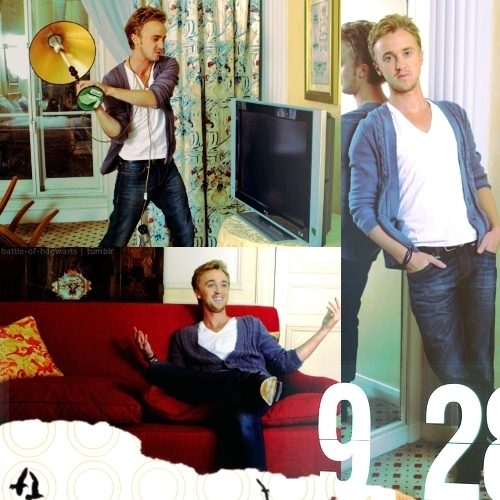 tumblr_li2g7cslAl1qf6mn6o1_500_large - x - Tom Felton - x