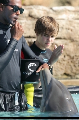 16178179_OITCIFZBC - Justin Bieber in water with dolphin