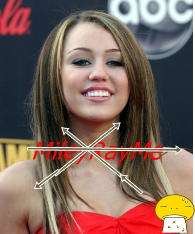 I love Miley Cyrus.....But not you 'MileyRayMe:))...because you are fake