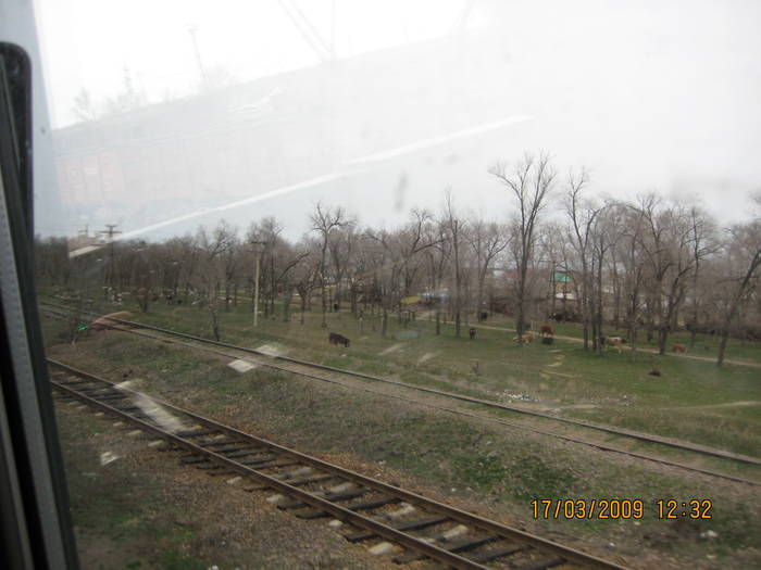 Almaty1 099