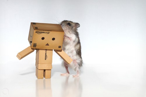 3-cute-funny-danbo-cardboard-box-art-sharing-secrets