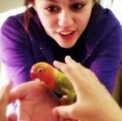 miley rare 059 - Photos 007