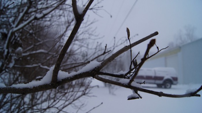 Winter 2012 (10) - Winter 2012