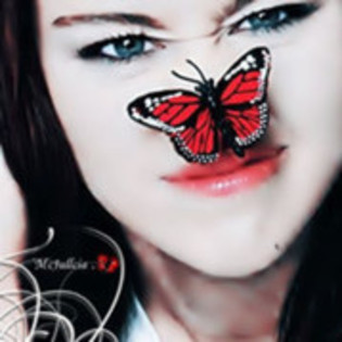 butterfly :))