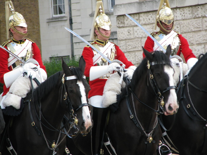 England & Scotland, June 2009 242; kavaleria ee velichestva...
